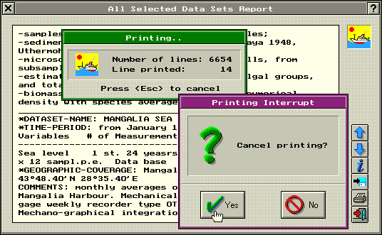 data set report printing (12 KB)